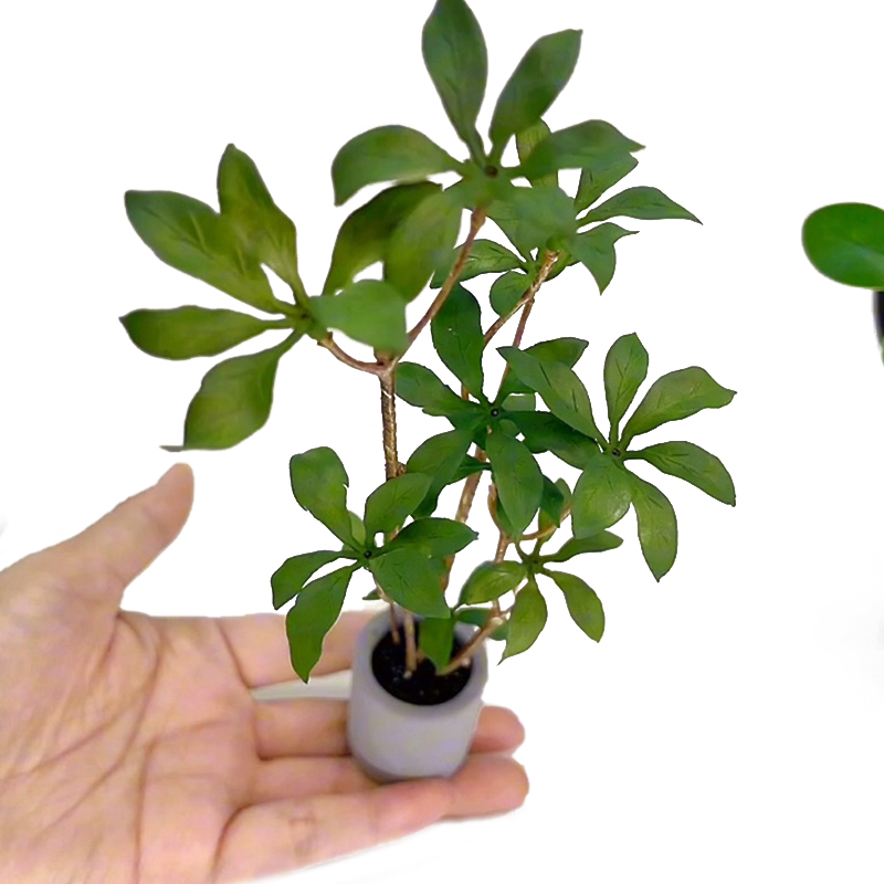 Bonsai Garden For Home - Dollhouse Miniature Modelo de Plantas em