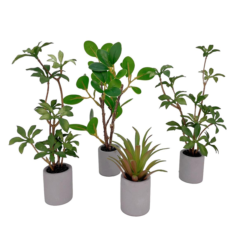 Dollhouse Miniature Modelo de  - Bonsai Garden For Home avaliação e preço