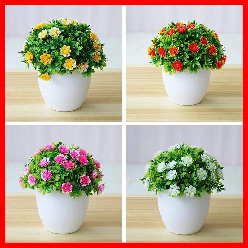 Plantas de Bonsai em vasos art - Bonsai Garden For Home avaliação e preço