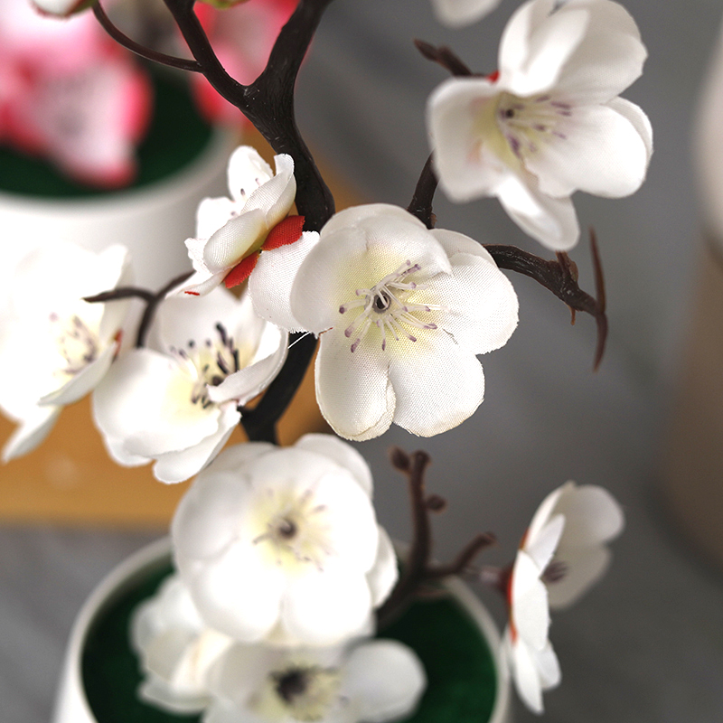 Natal falso verde pe ramos de  - Bonsai Garden For Home avaliação e preço