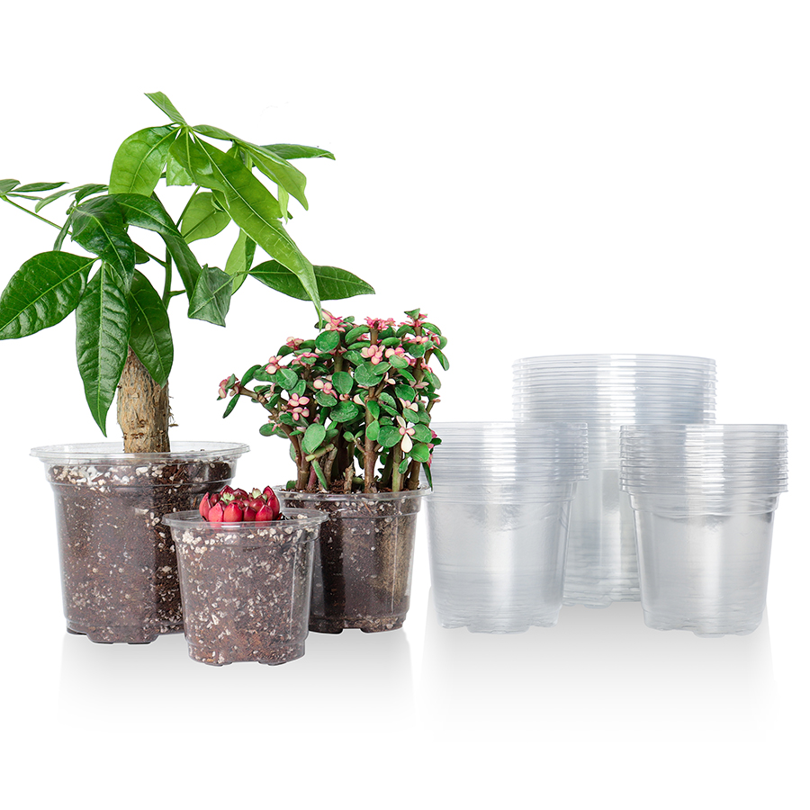 30 pacotes de vasos de berçári - Sphagnum Moss Bag avaliação e preço