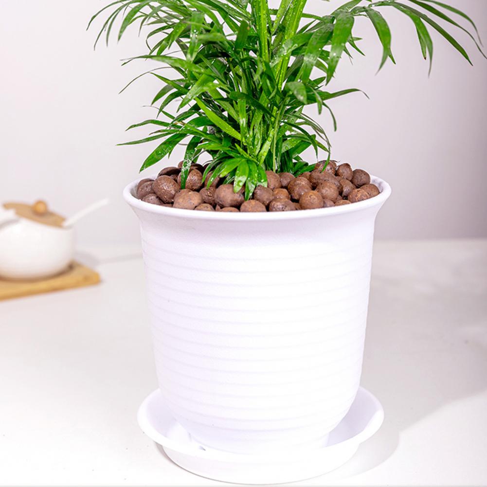 Pedras de Argila Hidropônicas  - Sphagnum Moss Bag avaliação e preço