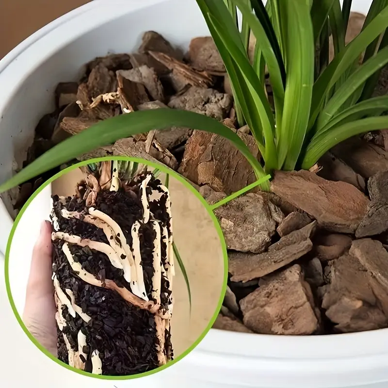 Casca de Pinheiro para Vasos d - Sphagnum Moss Bag avaliação e preço